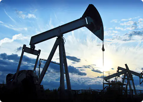 Поковки для нефтехимической промышленности